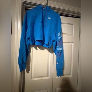 Champion reverse weave cropped hoodie